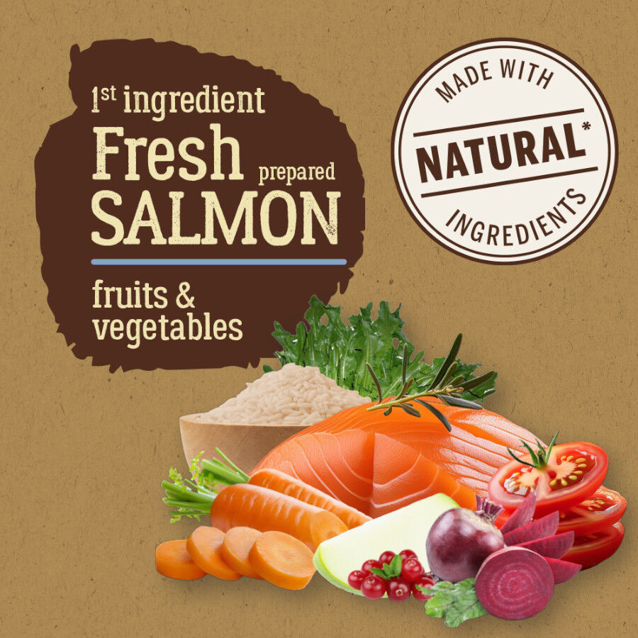 True Origins Pure Adult Sterilised Salmón pienso para gatos thumbnail