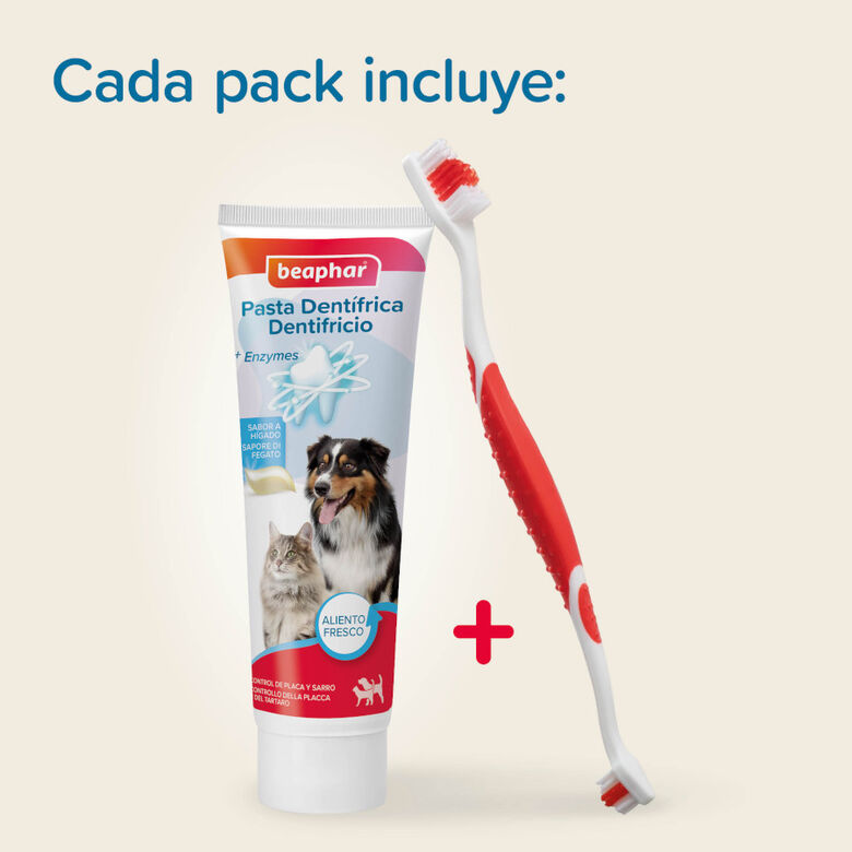 Beaphar Pack Dental Pasta y Cepillo para Perros y Gatos thumbnail