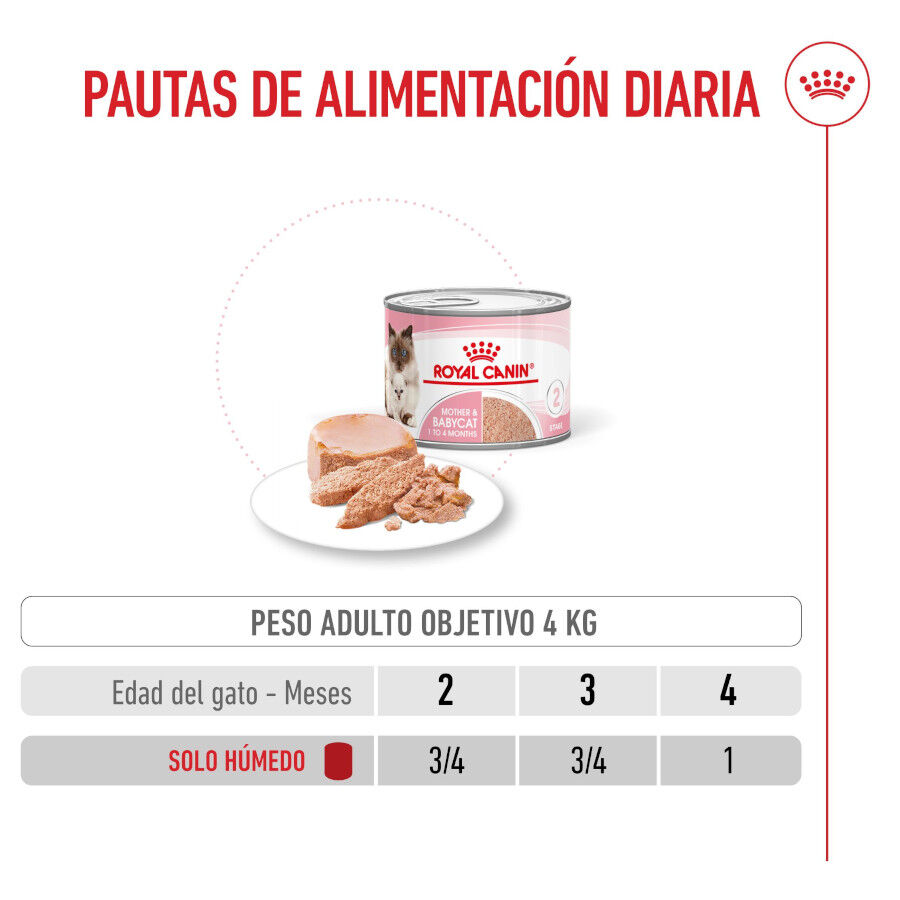 Royal Canin Mother &amp; Baby mousse latas para gatos thumbnail