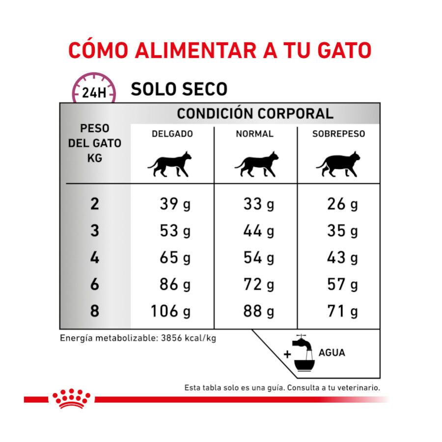 Royal Canin Veterinary Mobility pienso para gatos thumbnail