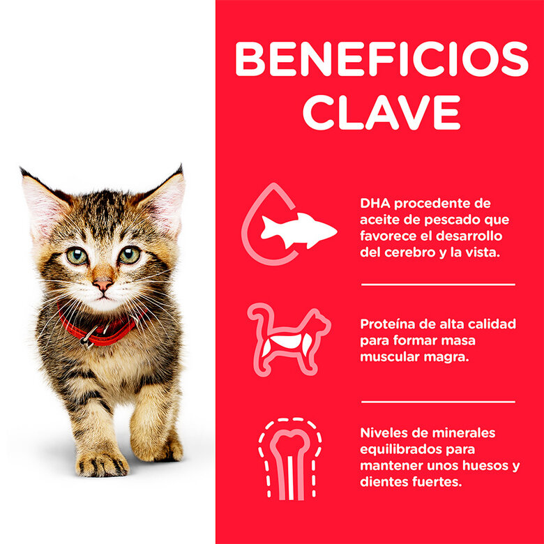 Hill's Science Plan Kitten Pollo pienso, , large image number null