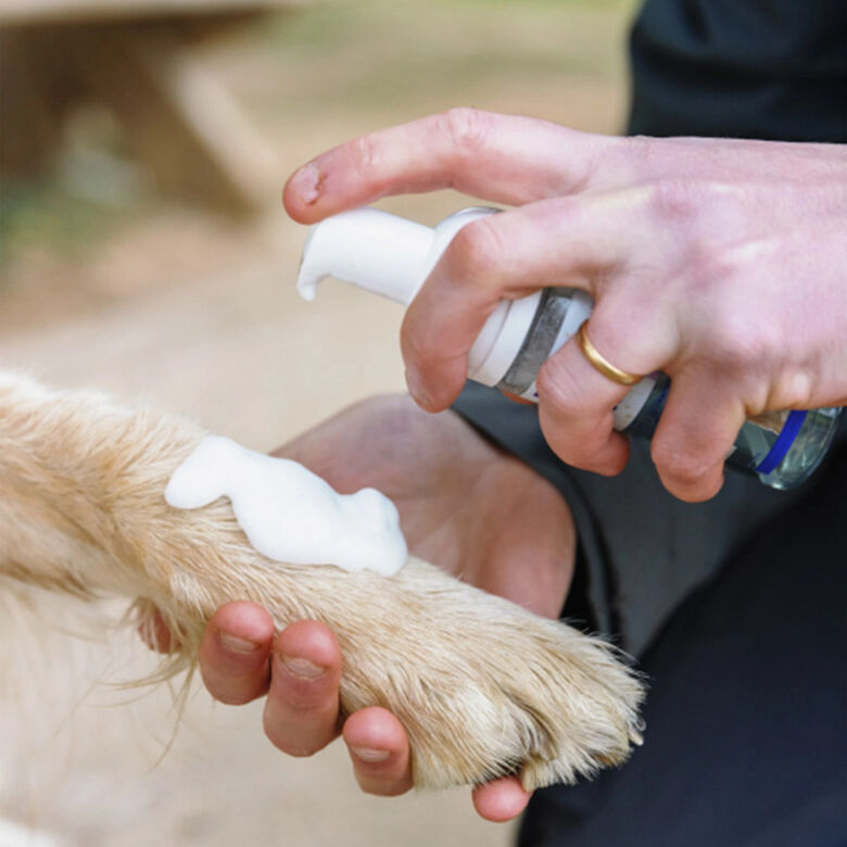 Virbac Allerderm Foam Cleanser Espuma Limpiadora para perros thumbnail