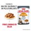 85 g Royal Canin Hair and Skin sobre en salsa para gatos, , large indicador imagen numero 2