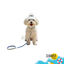 Summer Vibes Pack Correa y Collar Dolce Vita para perros, , large indicador imagen numero 1