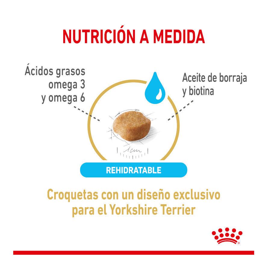 Royal Canin Adult 8+ Yorkshire pienso para perros thumbnail