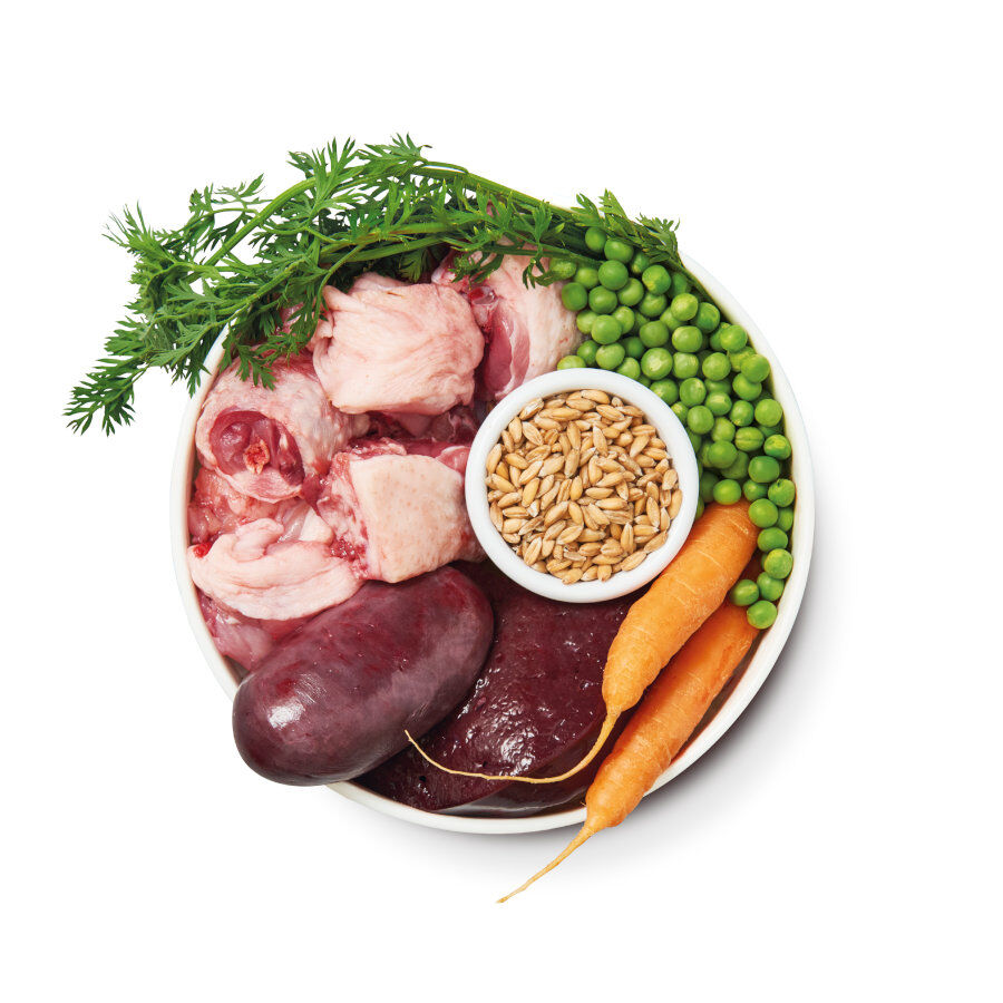 Lily&#039;s Kitchen Organic pollo tarrina para perros thumbnail