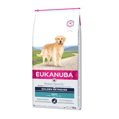 Eukanuba Adult Golden Retrievers pienso para perros