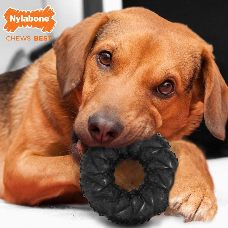 Nylabone Strong Max Braided Chew Anillo Mordedor Sabor a Carne para perros thumbnail