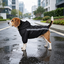 Gotoo Abrigo Impermeable Reflectante Negro para perros, , large indicador imagen numero 1