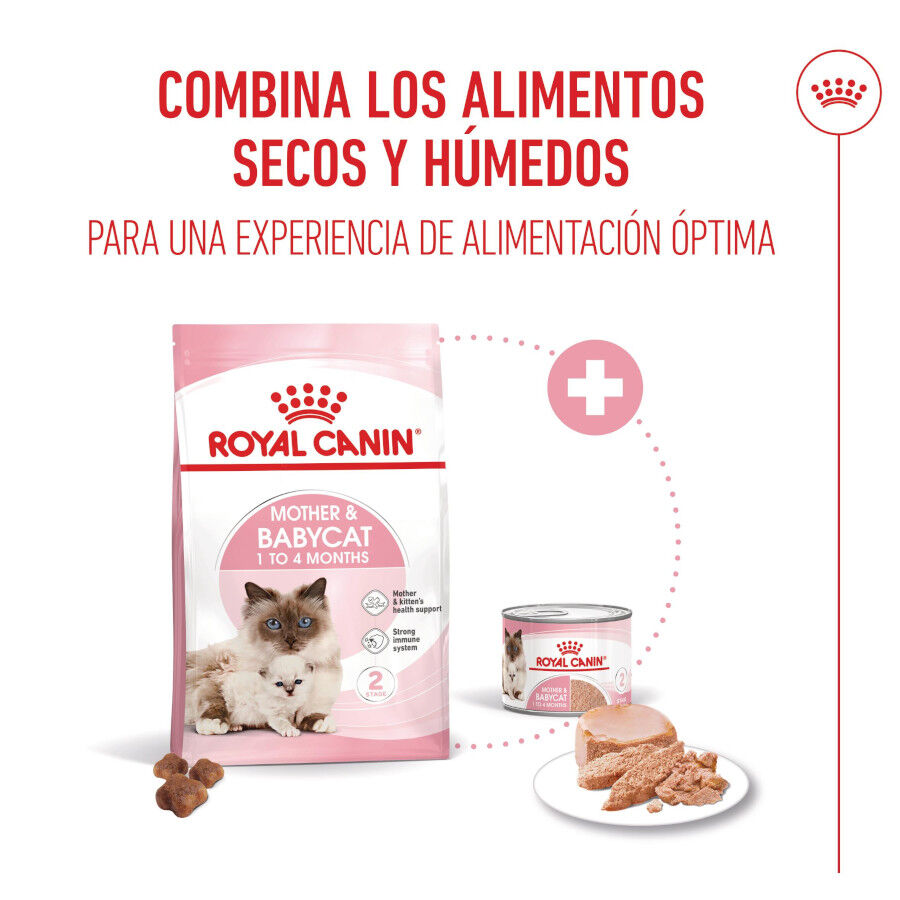 Royal Canin Mother &amp; Baby mousse latas para gatos thumbnail