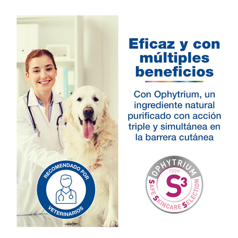 Douxo S3 Calm Mousse Piel Sensible para mascotas,  Imagen numero 4 Douxo S3 Calm Mousse Piel Sensible para mascotas, , large Imagen numero 4