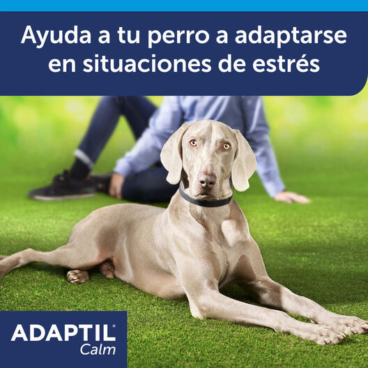 Adaptil Collar Tranquilizante para perros, , large image number null