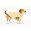 Outech Forro Polar Beige para perros, , large indicador imagen numero 4