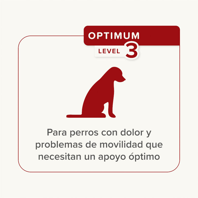 Beaphar Flexifit Chews Condroprotector para perros thumbnail