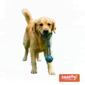 Tootoy! Modedor para Tirar de Cuerda con Pelota Azul para perros