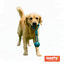 Tootoy! Modedor para Tirar de Cuerda con Pelota Azul para perros, , large indicador imagen numero 8