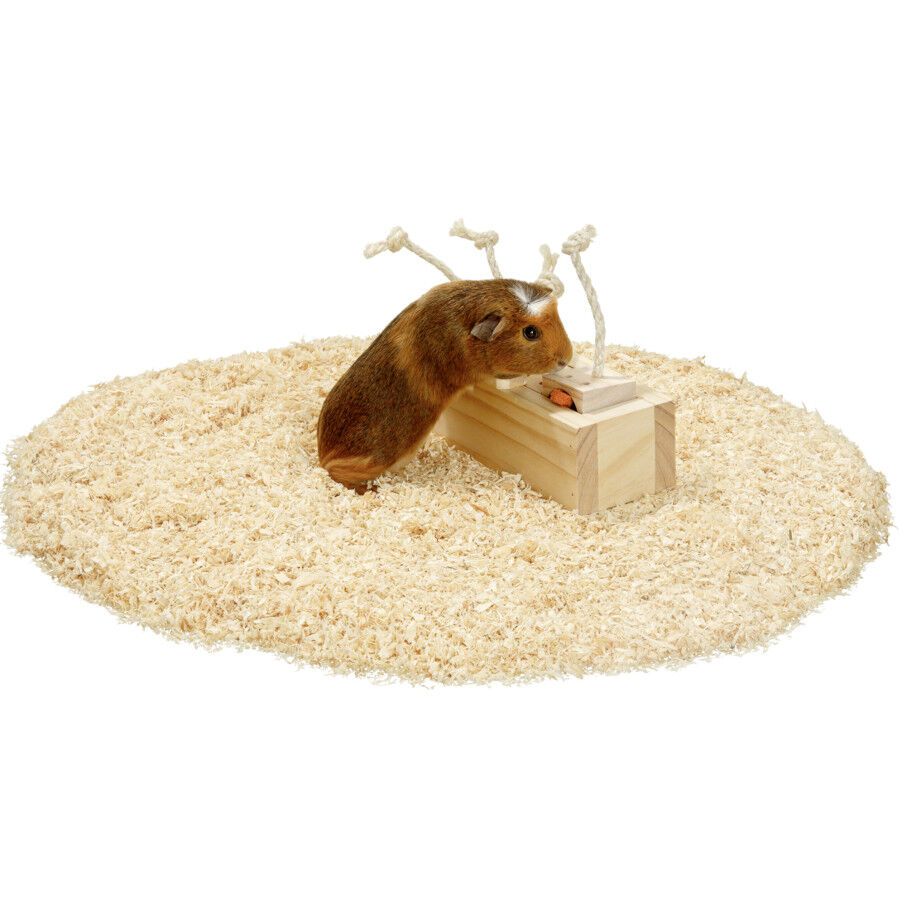 Flamingo Brain train Rody Armario Juguete con cuerda para roedores, , large Imagen numero 2