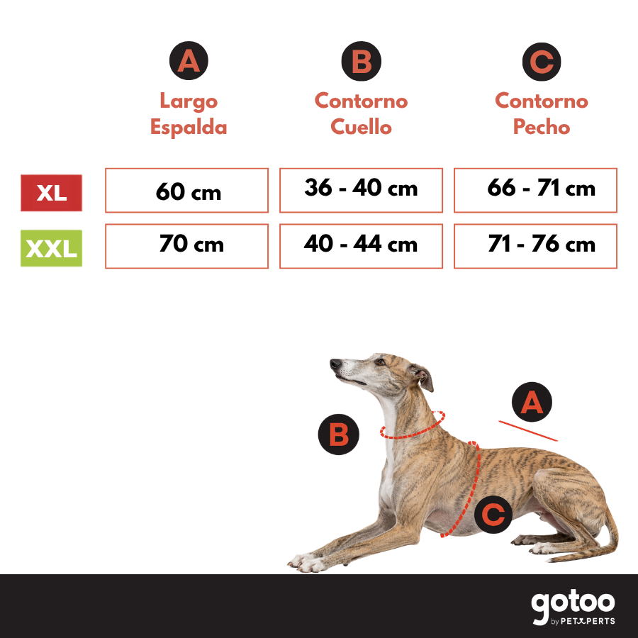Gotoo Sudadera Gris para galgos, , large Imagen numero 5