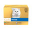 Gourmet Gold Mousse Sabores Variados, , large indicador imagen numero 1