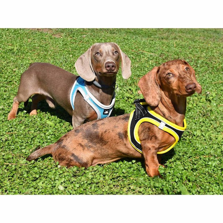 Nayeco X-TRM Neo Negro arnés para perros thumbnail