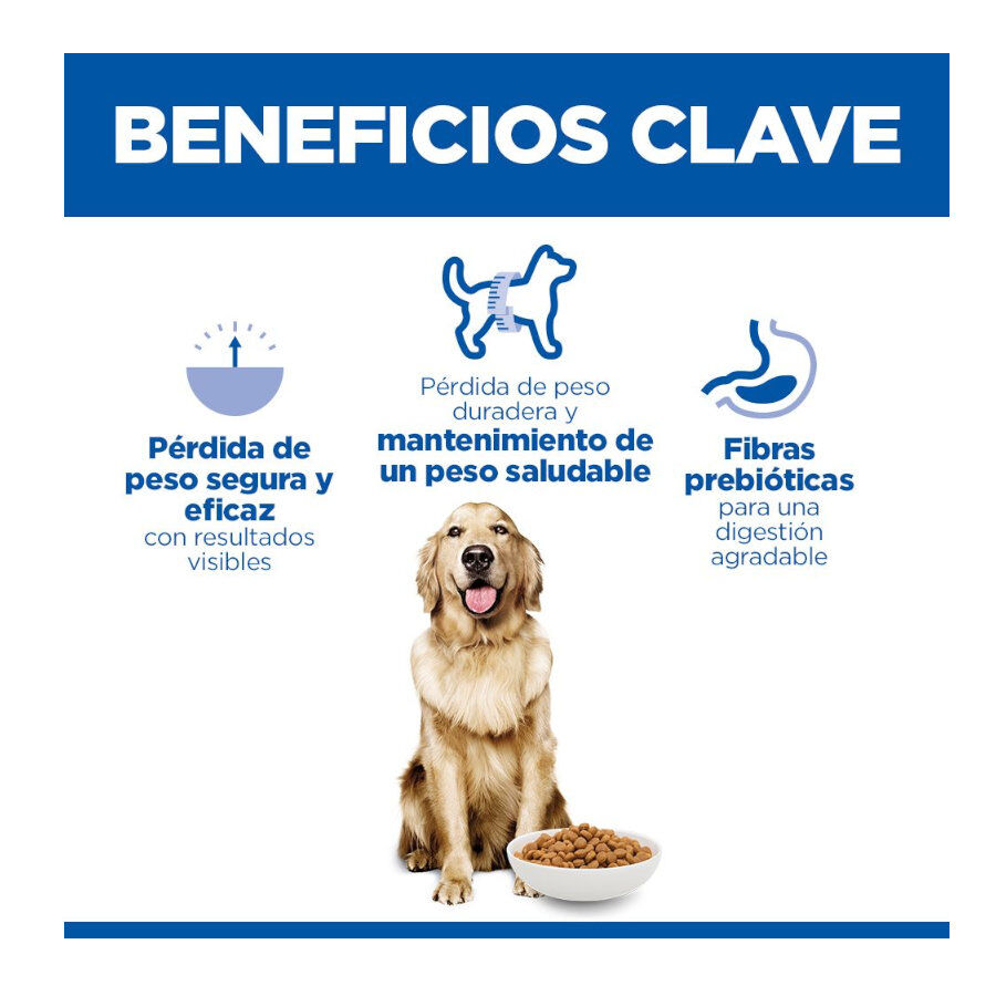 12 kg Hill's Science Plan Perfect Weight Adult Large Pollo pienso para perros, , large Imagen numero 3