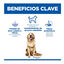 12 kg Hill's Science Plan Perfect Weight Adult Large Pollo pienso para perros, , large indicador imagen numero 3