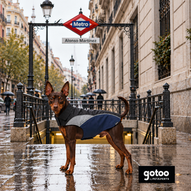Gotoo Impermeable Reflectante Gris Azulado para perros