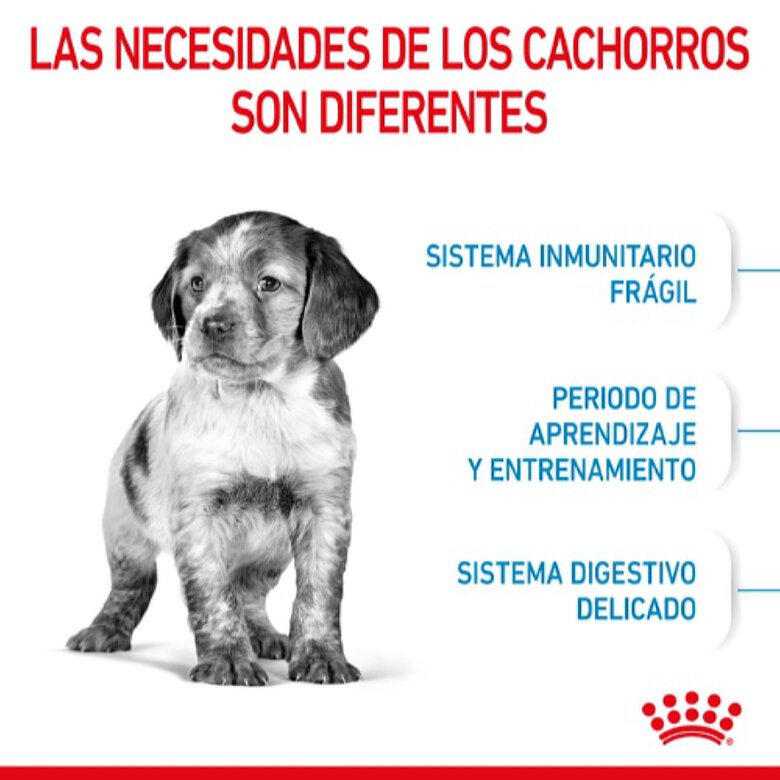 Royal Canin Puppy Medium pienso para perros, , large image number null