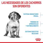 Royal Canin Puppy Medium pienso para perros, , large image number null