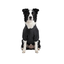 Gotoo Abrigo Impermeable Reflectante Negro para perros, , large indicador imagen numero 7