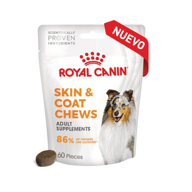 Royal Canin Skin & Coat Chews Adult Suplemento nutricional para perros