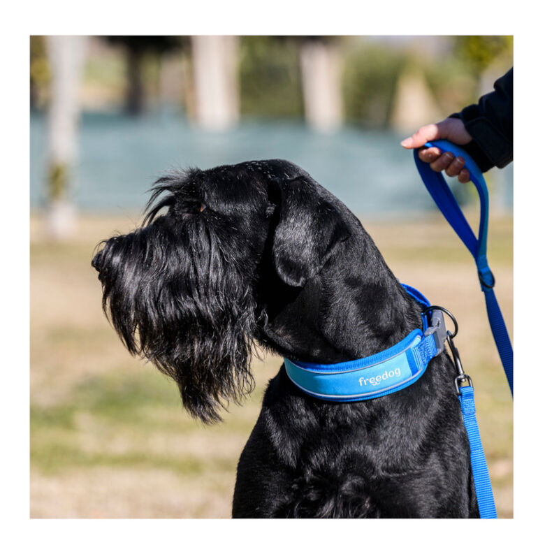 Freedog Cool Pro Tech Correa Refrescante Azul para perros thumbnail