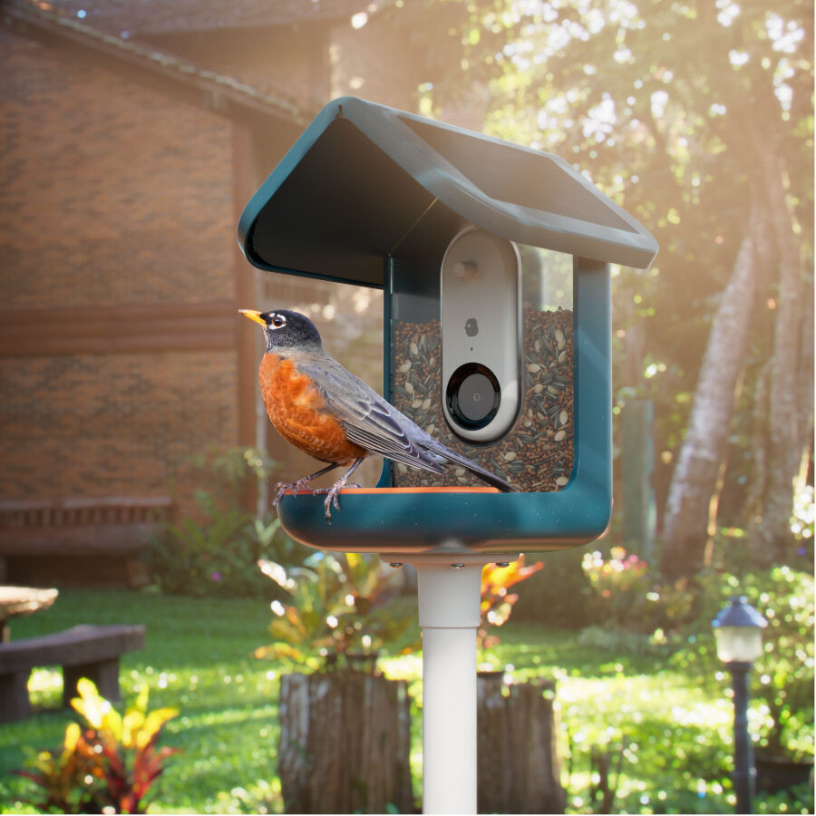 Birdbuddy Comedero Inteligente con C&aacute;mara para p&aacute;jaros, , large Imagen numero 5