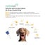 Medicalpet Pipetas Antiparasitarias para perros, , large indicador imagen numero 2