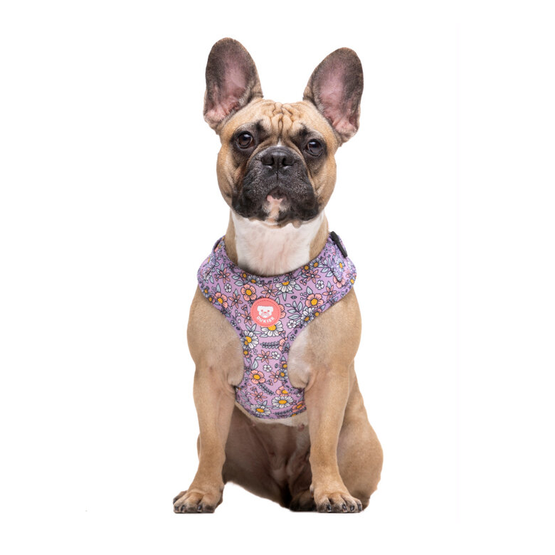 Dukier Flower Power Arnés Ajustable para perros, , large image number null