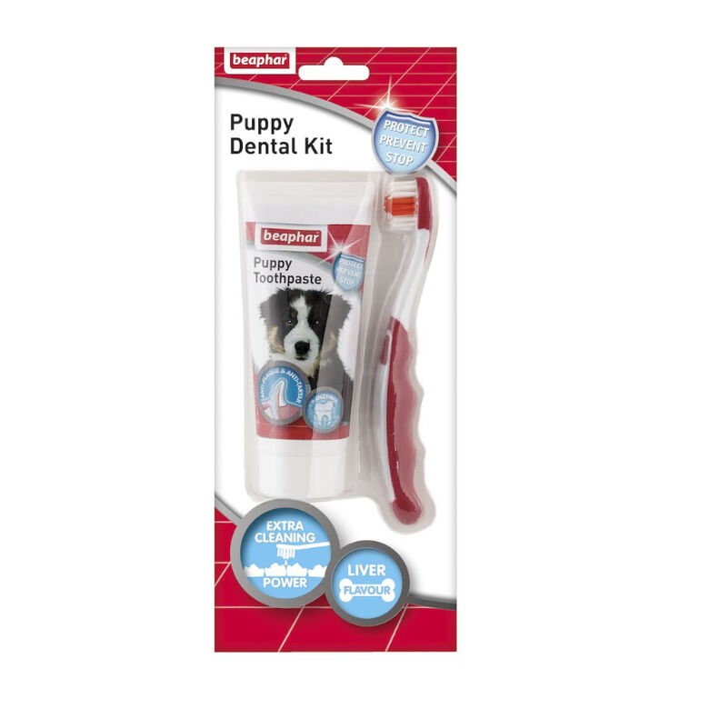 Beaphar Kit de Limpieza Dental para cachorros thumbnail