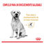 Royal Canin Adult 5+ Labrador pienso para perros, , large indicador imagen numero 3