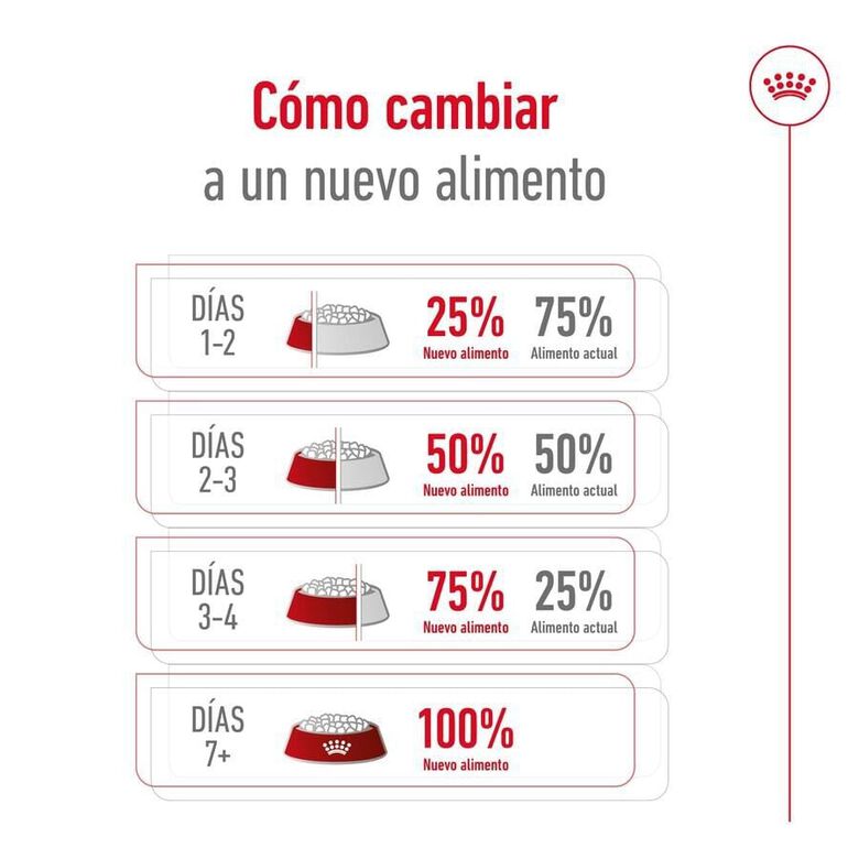 Royal Canin Medium 7+ Adult pienso para perros senior thumbnail