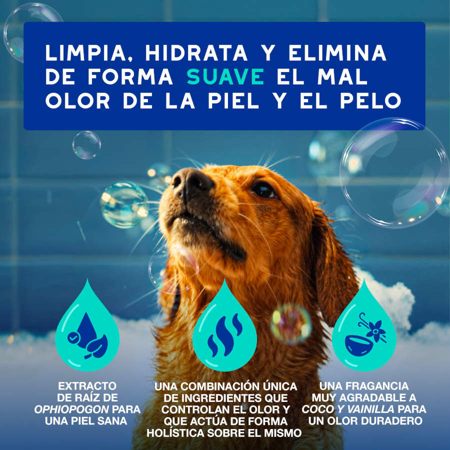 Ceva Douxo Spa Champú Antiolor para perros thumbnail