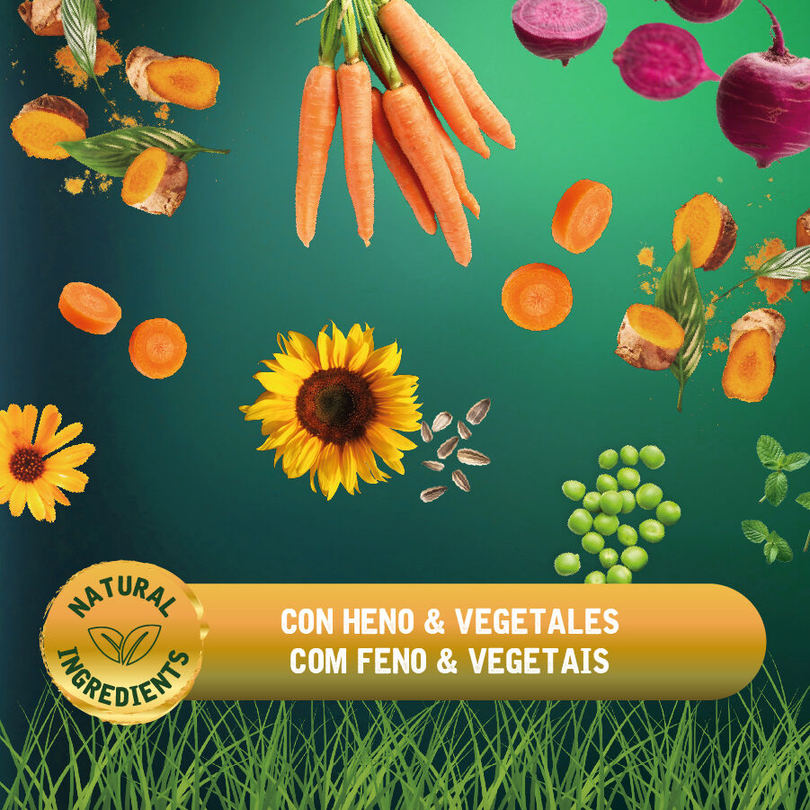 4 kg Small Life Premium Men&uacute; Pienso para cobaya, , large Imagen numero 4