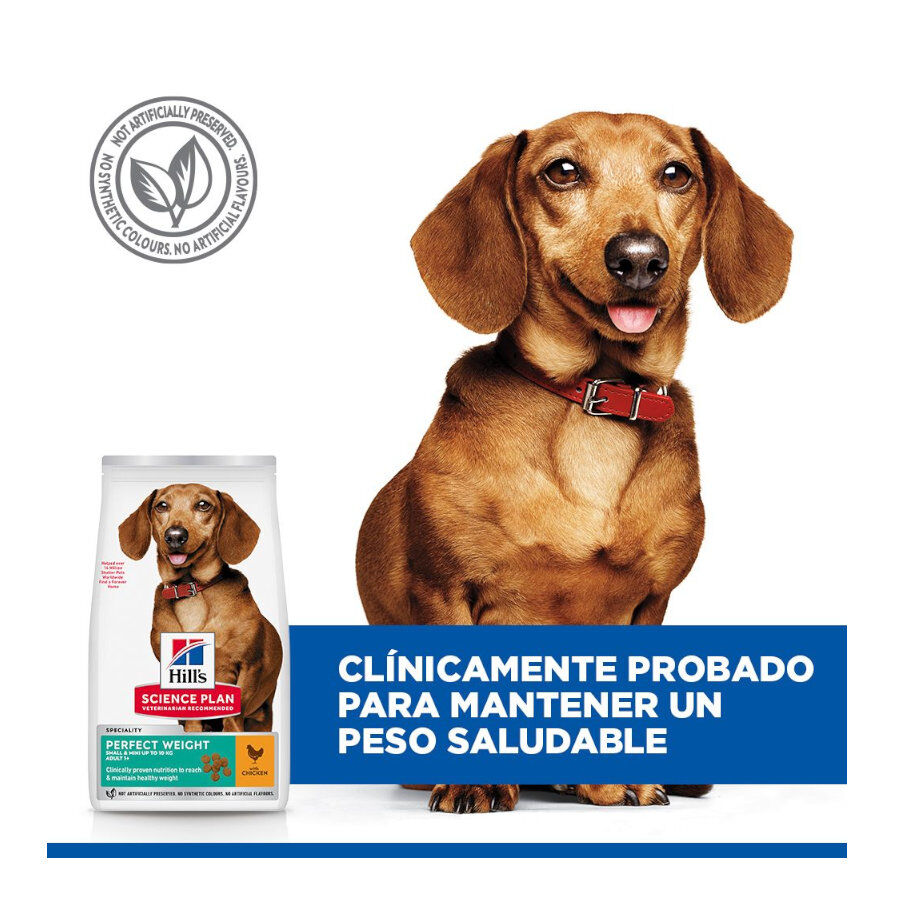 6 kg Hill's Science Plan Perfect Weight Adult Small y Mini pienso para perros, , large Imagen numero 5