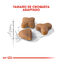 10 kg Royal Canin Regular Sensible 33 pienso para gatos, , large indicador imagen numero 3