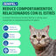 Virbac Zenifel Spray Calmante para gatos, , large indicador imagen numero 2