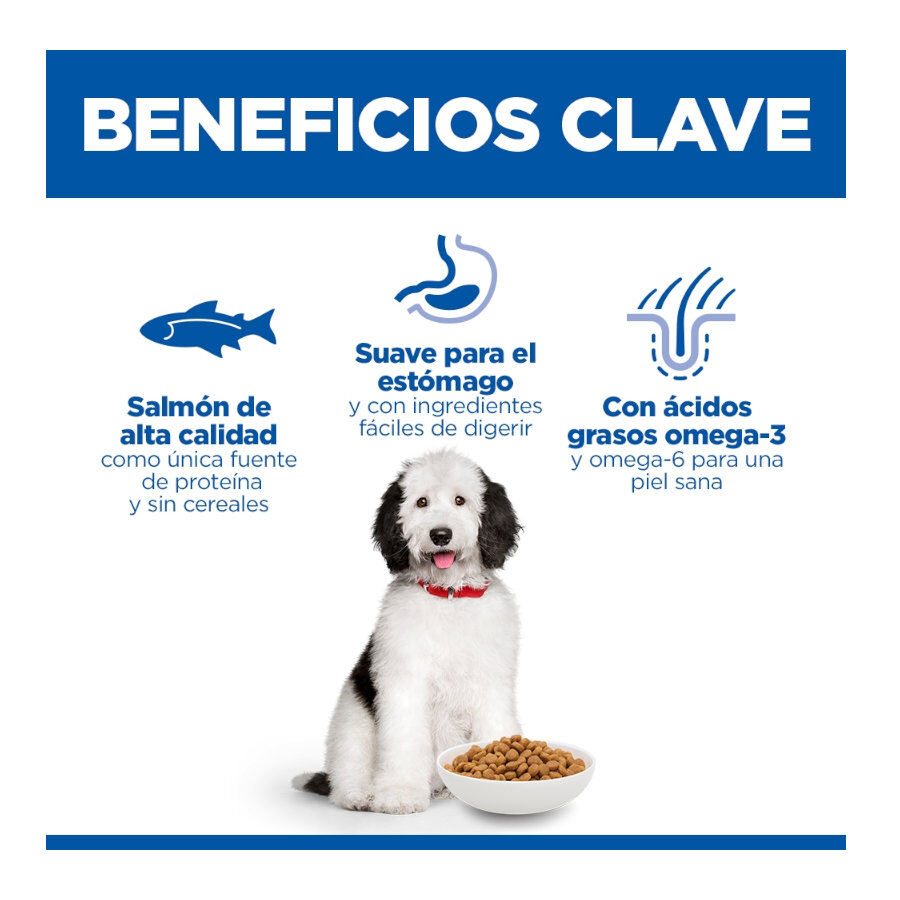14 kg Hill's Science Plan Hipoalerg&eacute;nico Large Salm&oacute;n pienso para perros, , large Imagen numero 3