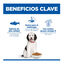 14 kg Hill's Science Plan Hipoalerg&eacute;nico Large Salm&oacute;n pienso para perros, , large indicador imagen numero 3