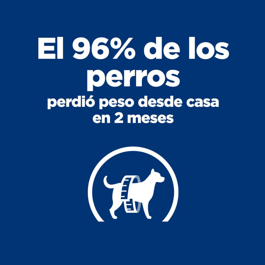 370 g Hill's Prescription Diet Metabolic Vacuno y Verduras lata para perros, , large Imagen numero 3