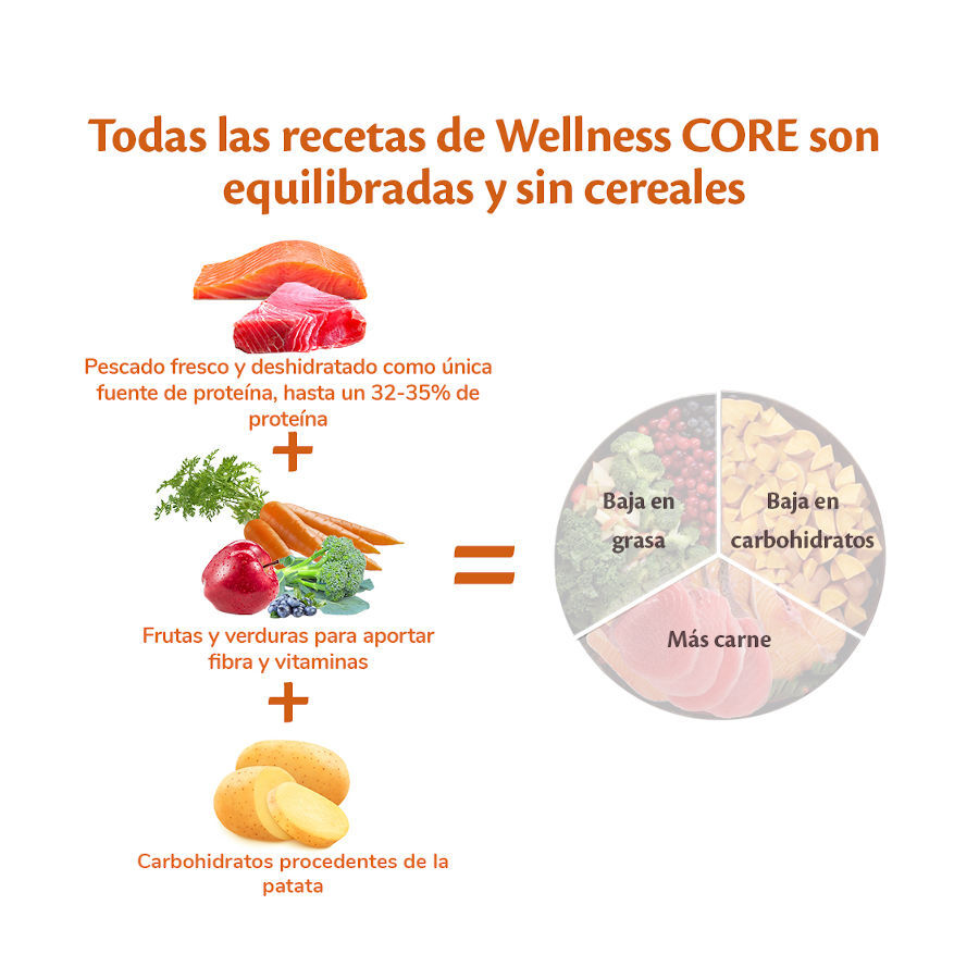 Wellness Core Adult Medium/Large Ocean Salmón y Atún pienso para perros thumbnail
