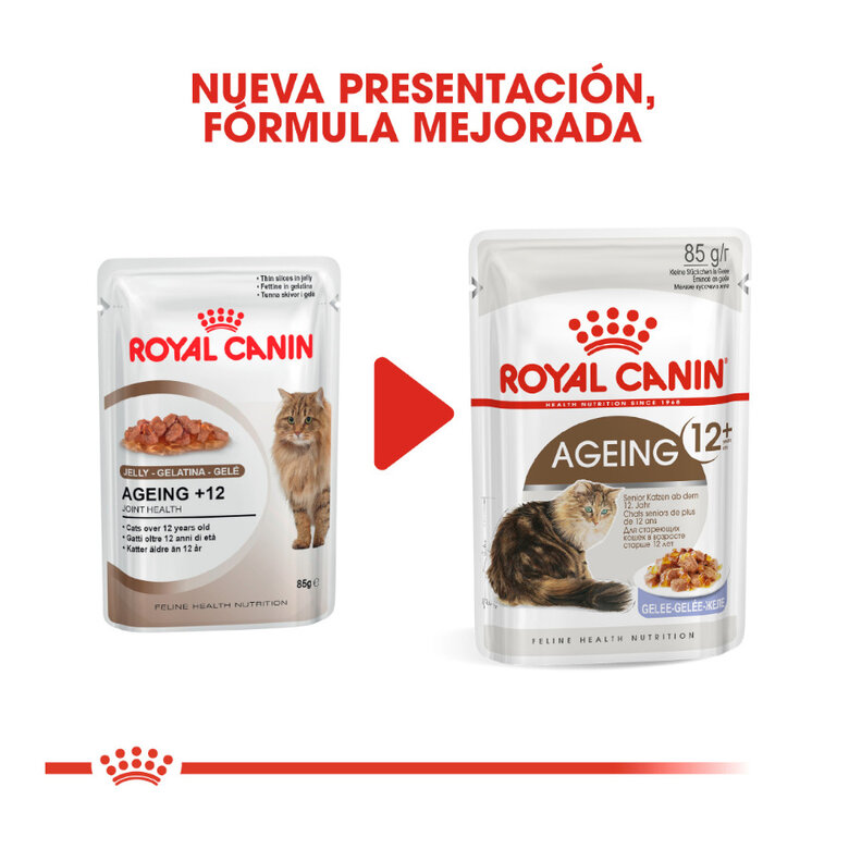 85 g Royal Canin Ageing 12+ gelatina sobres para gatos,  Imagen numero 3 85 g Royal Canin Ageing 12+ gelatina sobres para gatos, , large Imagen numero 3