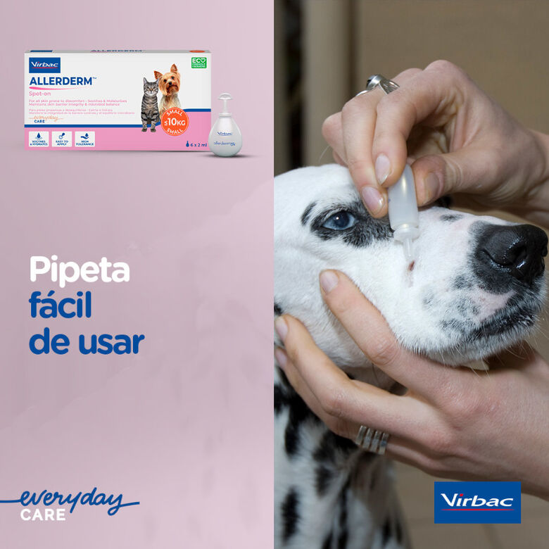 Virbac Allerderm spot on Pipetas dermatológicas para el cuidado de la piel Perros y Gatos. thumbnail