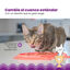 Outward Hound Catstages Fishie Fun Pez de Juguete Dispensador de Comida para gatos, , large indicador imagen numero 5